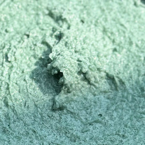 EN RUPTURE DE STOCK gommage clarifiant au sel marin 12oz (menthe eucalyptus)